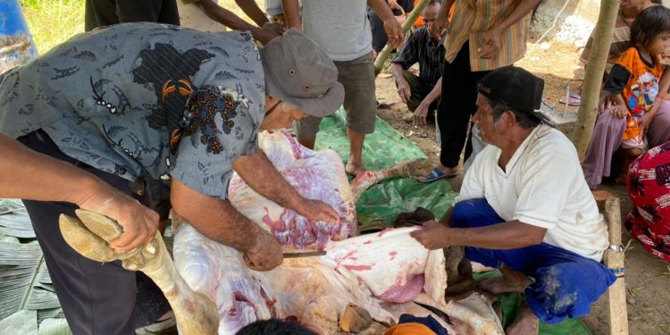 Berkurban Berbagi, Bersama untuk Semua